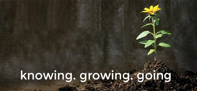 knowing growing going for all
